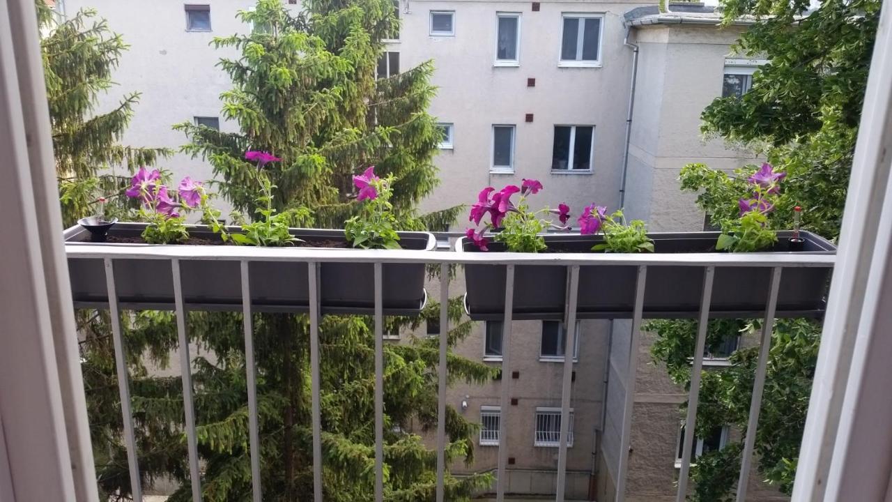 Tisza-Parti Napfeny Apartman Szeged Buitenkant foto